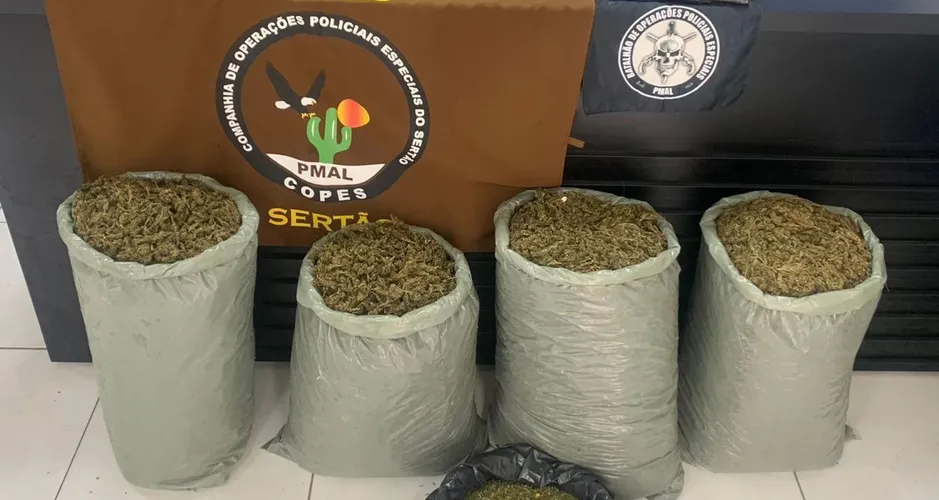 Mais de 60 quilos de drogas são apreendidos em uma semana em Alagoas