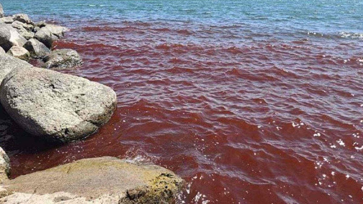 Mar da Galileia fica vermelho e reacende temores de ‘mau presságio’ bíblico