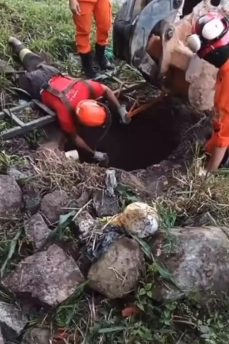 Jumento cai em poço e é resgatado pelo Corpo de Bombeiros