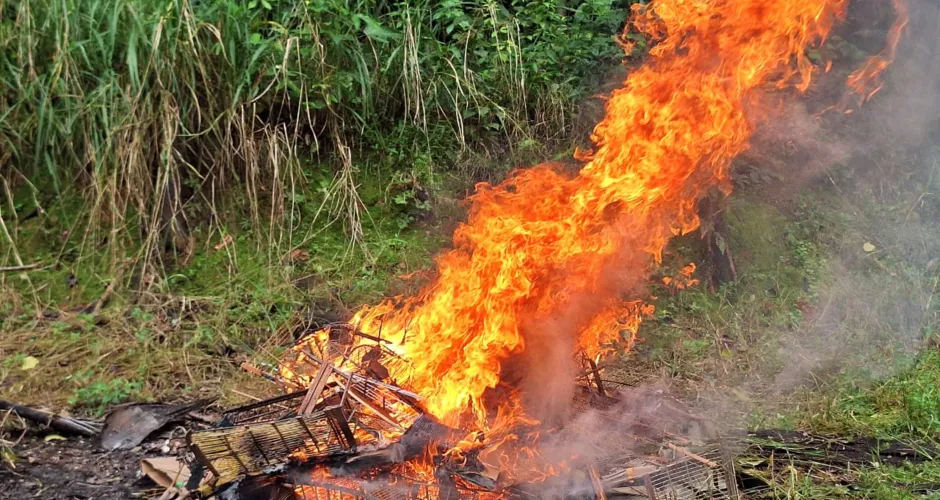 Materiais ilegais foram apreendidos e destruídos pelos agentes. Divulgação