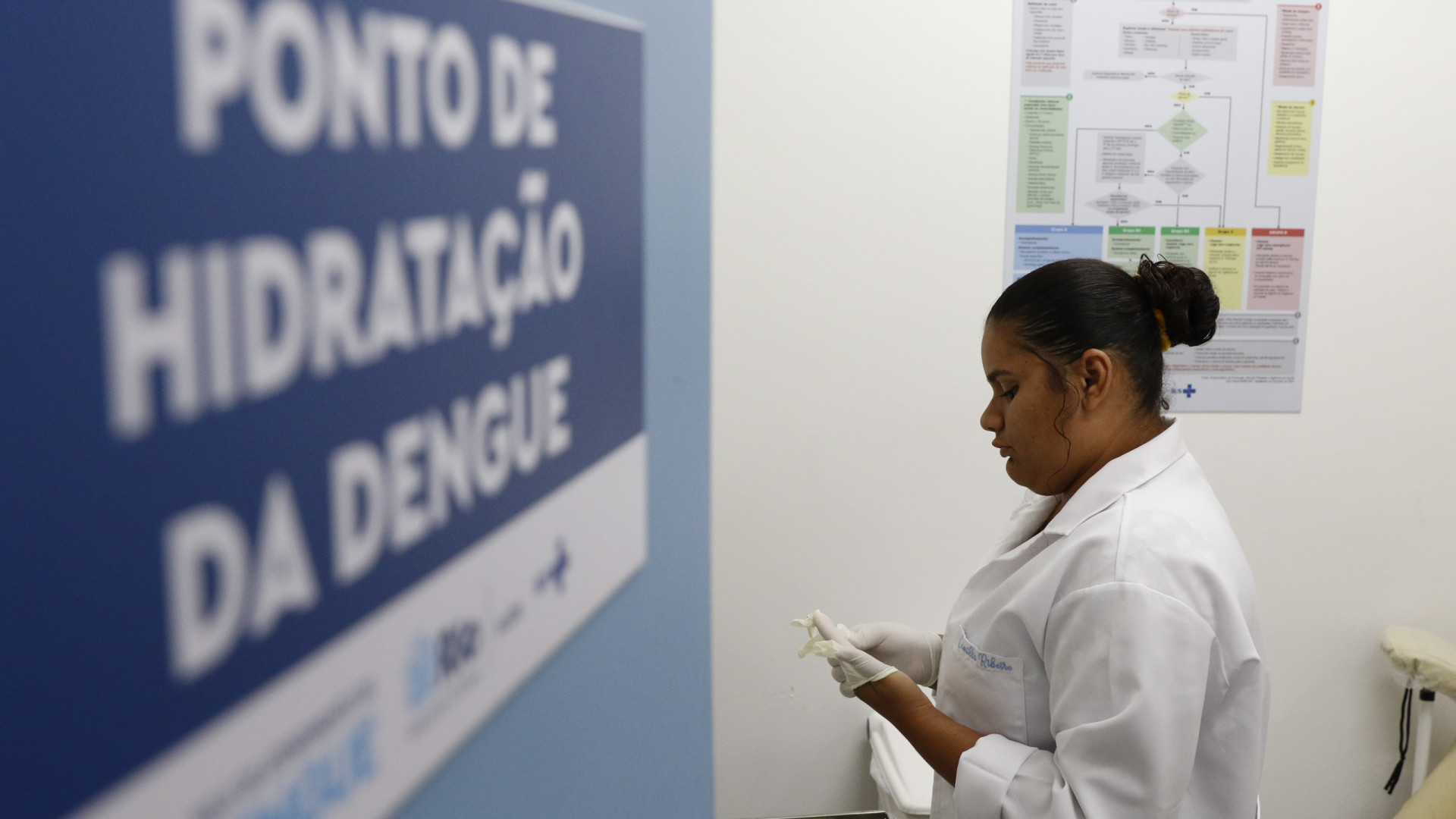 Dengue: Seis estados respondem por 84% dos casos no Brasil; saiba quais são