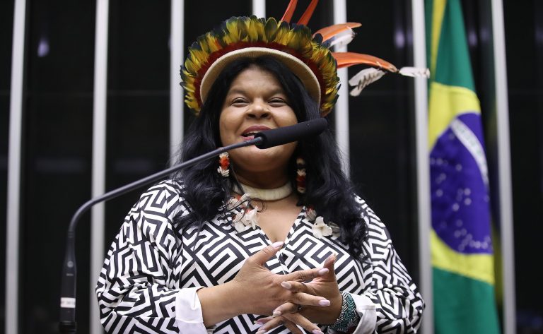Sônia Guajajara: governo homologou dez territórios indígenas em um ano e meio de gestão