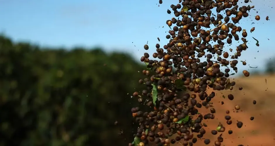 China libera 183 empresas do Brasil para exportar café após tarifaço