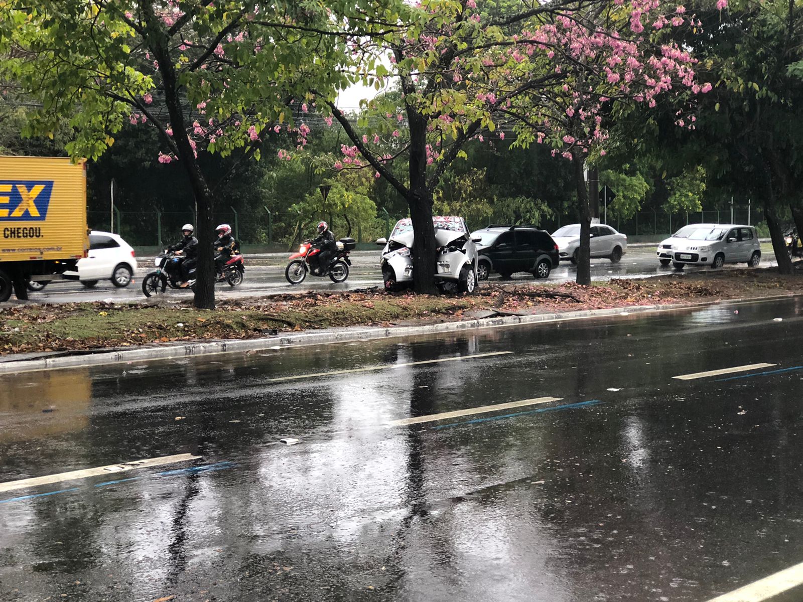 Motorista perdeu o controle da direção, vindo a colidir o veículo em uma árvore - Foto: Nick Marone/TV Gazeta