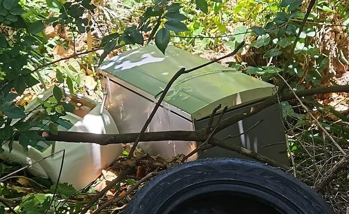 Jovem que matou a sogra e escondeu o corpo em geladeira vai a júri popular﻿