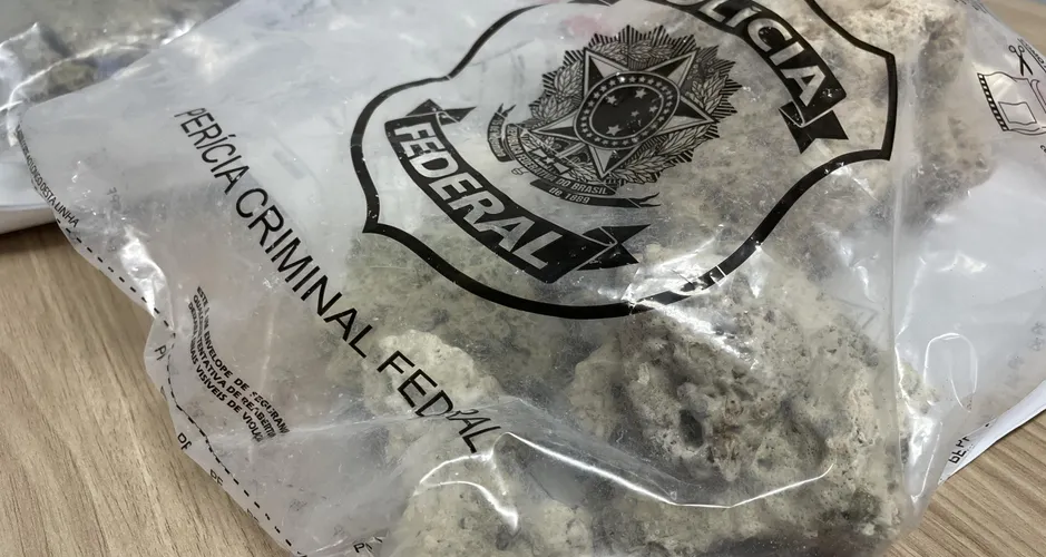 PF apreende 10 kg de corais transportados por turistas no Aeroporto Zumbi dos Palmares