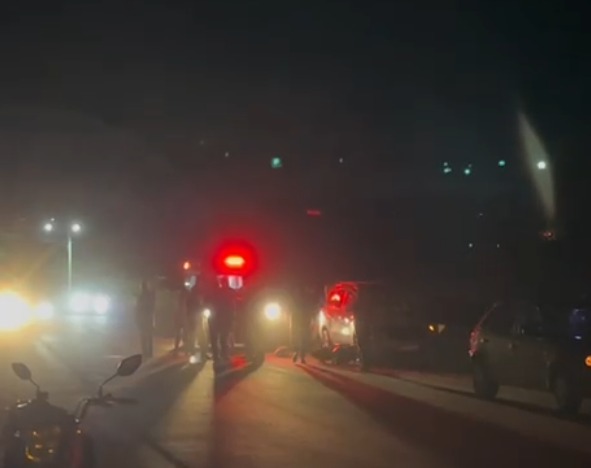 Foto: Reprodução/Minha Palmeira