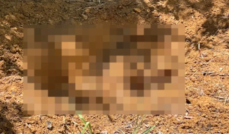 Corpo enterrado em cova rasa é encontrado em área de mata no Litoral Norte